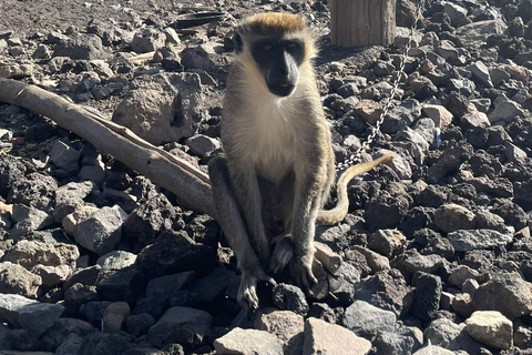 Santiago Island: Highlights Tour with Guide