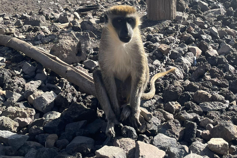 Santiago Island: Highlights Tour with Guide