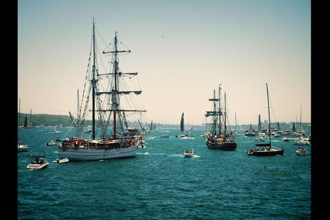 Sydney Harbour: Tall Ship Boxing Day Cruise - Soren Larsen