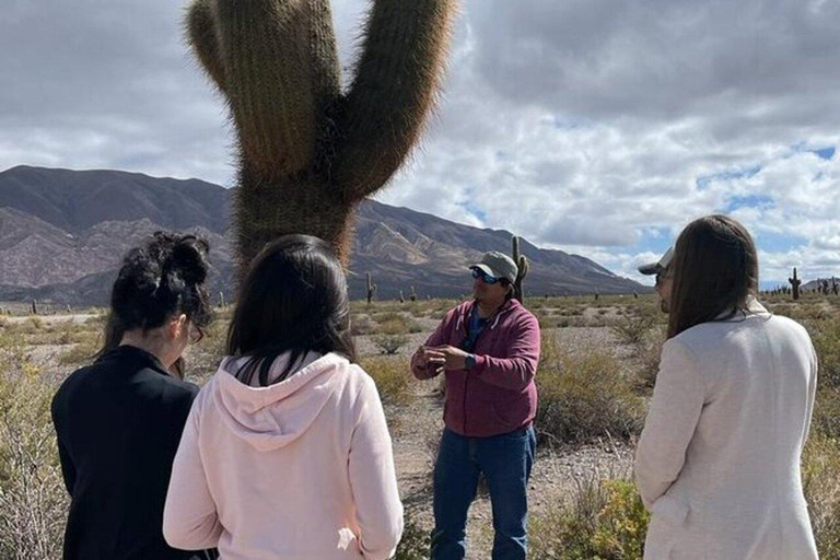 Day Trip to Cachi from Salta