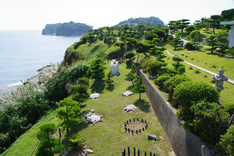 Wakayama: Hidden Coastal Nature & Sunset Tour From Osaka