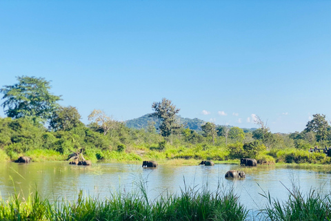 Evening Hurulu Eco Park Safari & Cooking Class