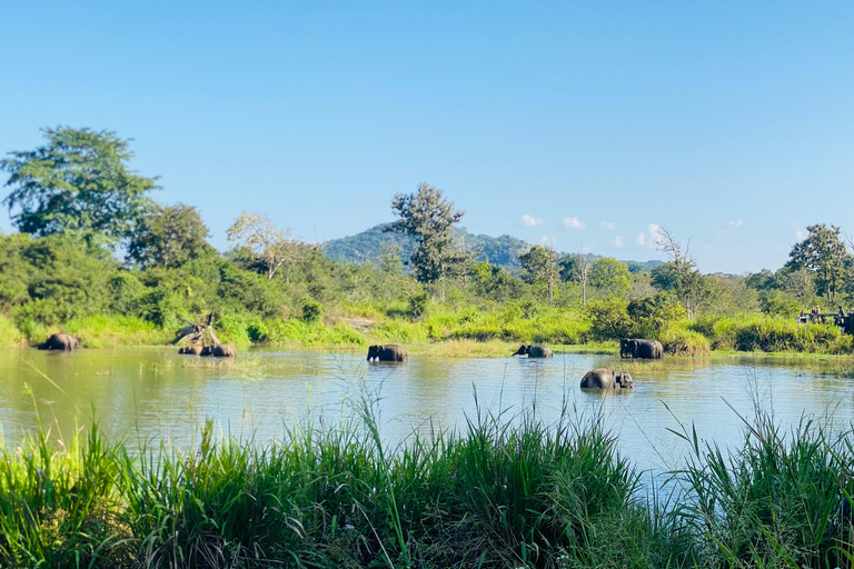 Evening Hurulu Eco Park Safari & Cooking Class