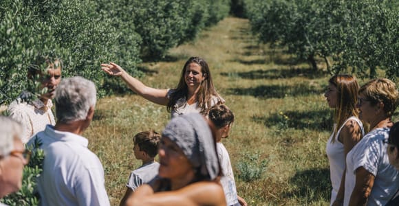Olive Groves & Local Tasting Bike Tour in Costa Brava