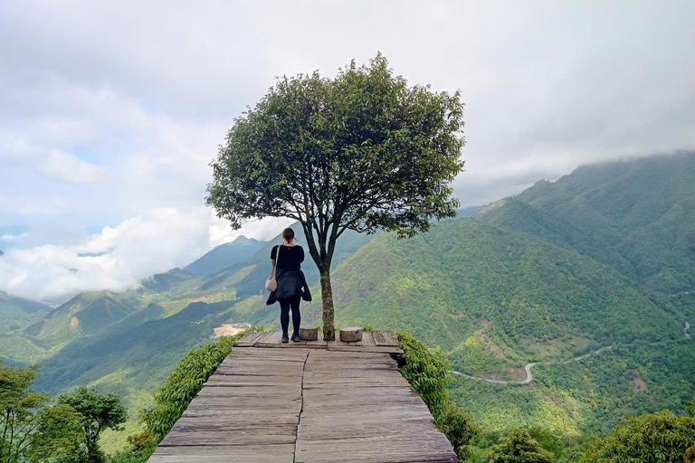 Chauffeured Ride to Silver and Love Waterfall, Lonely Tree