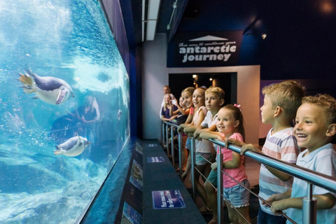 Sea World Entry Ticket with Rides and Shows