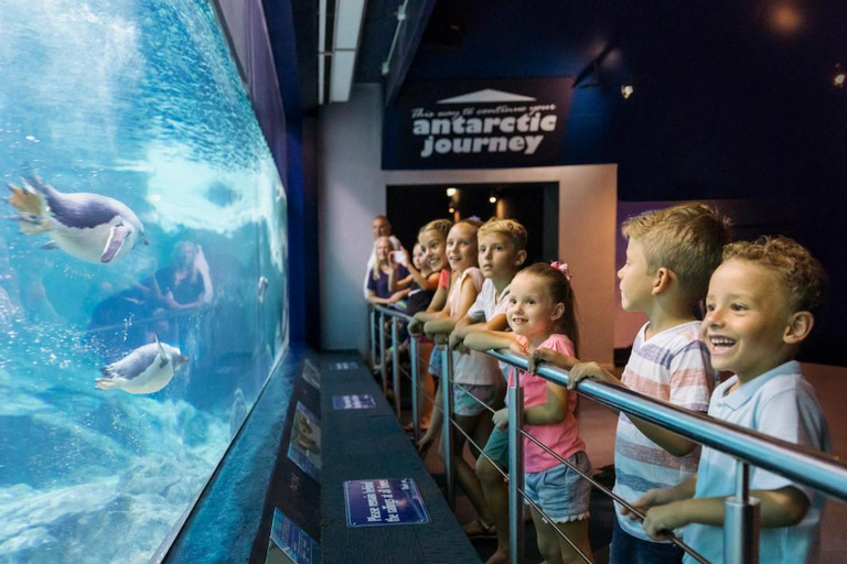 Sea World Entry Ticket with Rides and Shows