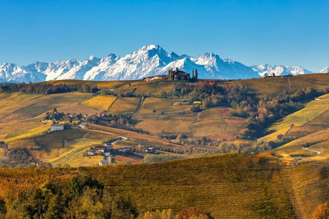 Milan: Barolo Vineyards & UNESCO Wine Cathedral Experience