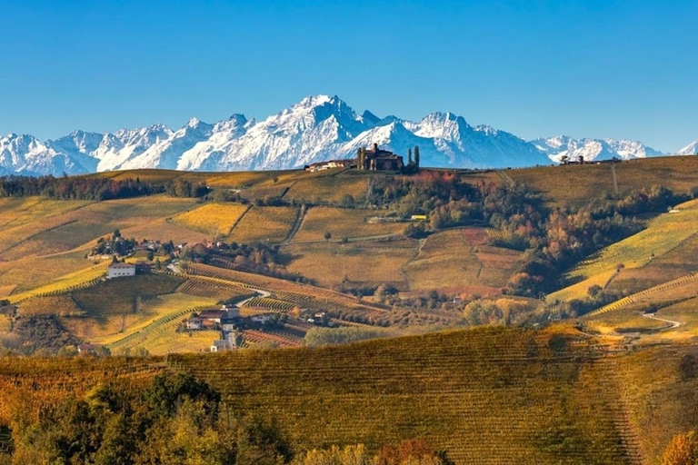 Milan: Barolo Vineyards & UNESCO Wine Cathedral Experience