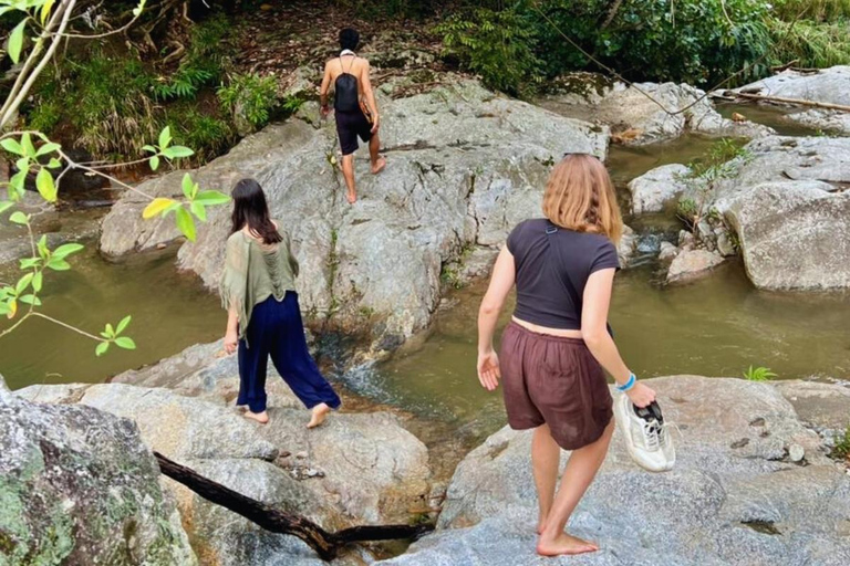 Minca Jungle Trek: Rivers, Tayrona Trails & Cacao Forest