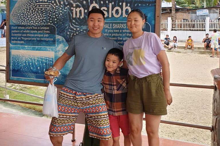 CEBU: Observação de tubarões-baleia + Sumilon Sand Bar + Cataratas de Tumalog