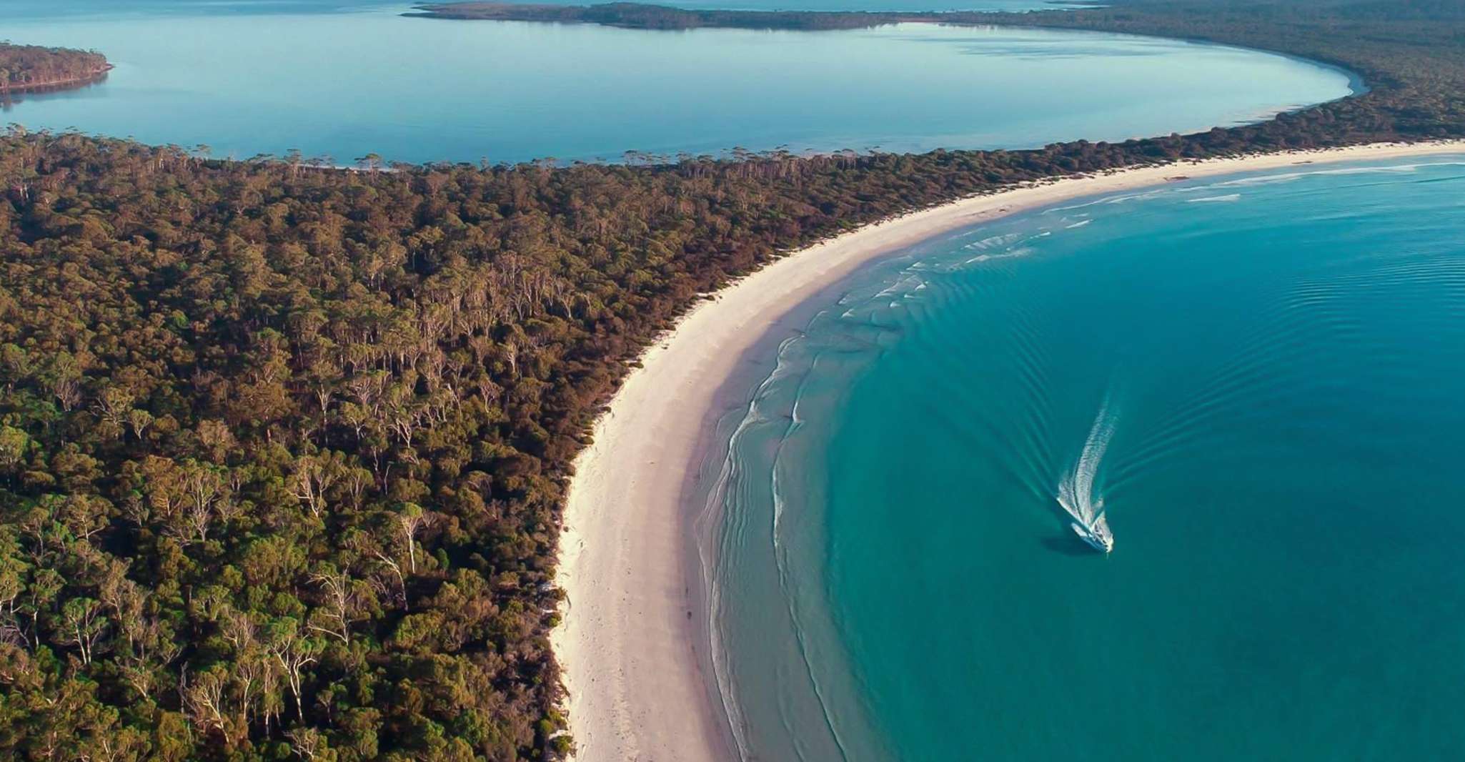 From Triabunna, Maria Island Cruise & Guided Walk with Lunch - Housity