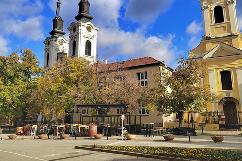 From Belgrade: Novi Sad & Fruška Gora + Wine Tasting