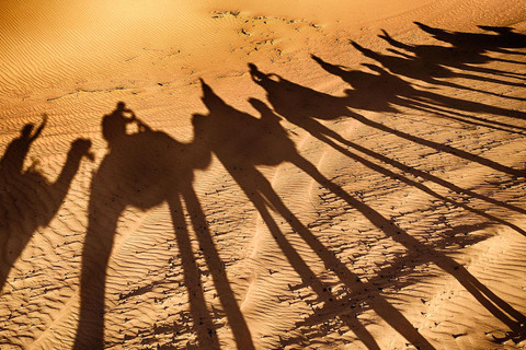 Au départ d'Agadir : Balade à dos de chameau au coucher du soleil avec dîner barbecue et transferts.