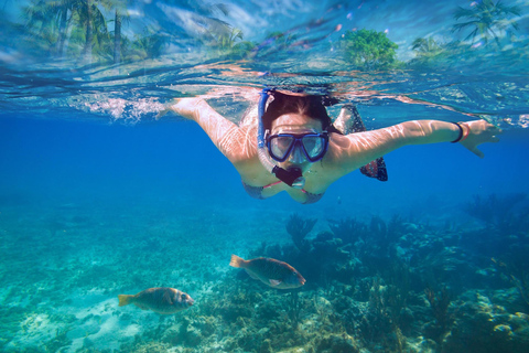 Comino-Kreuzfahrt: Kristalllagune, Blaue Lagune, Santa Marija BayComino-Kreuzfahrt: Kristallklarer See, Blaue Lagune, Santa Marija-Bucht