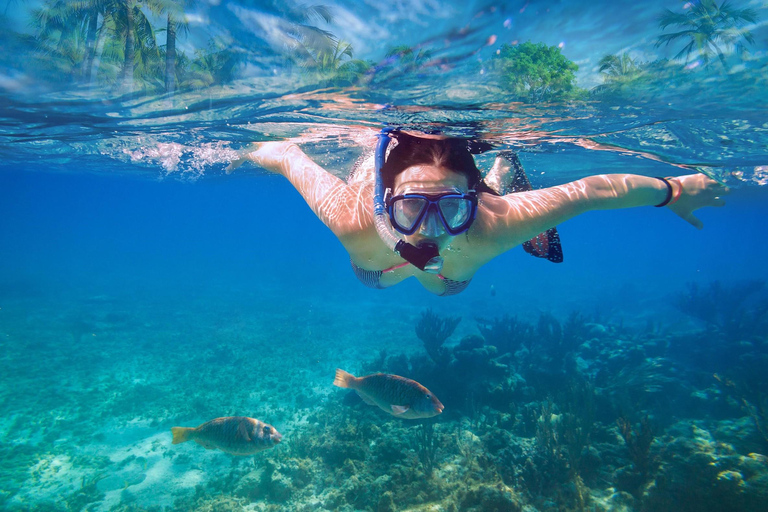 Comino-Kreuzfahrt: Kristalllagune, Blaue Lagune, Santa Marija BayComino-Kreuzfahrt: Kristallklarer See, Blaue Lagune, Santa Marija-Bucht