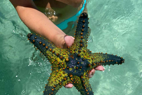 ZANZIBAR: Las Jozani, jaskinia Salaam, The Rock i Blue LagoonWYCIECZKA PRYWATNA BEZ ODBIORU Z HOTELU I TRANSPORTU POWROTNEGO