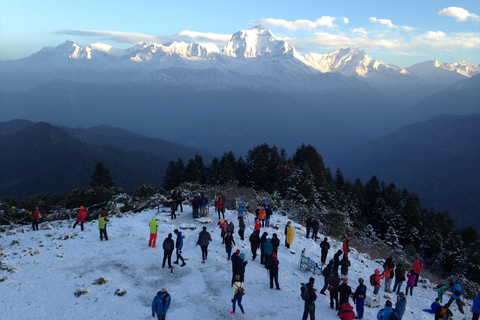 4 dagars budget Poon Hill Trek från Pokhara