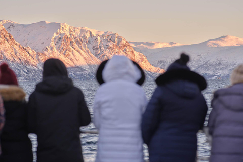 Tromsø : Croisière dans les fjords de l'Arctique dans les paysages polaires