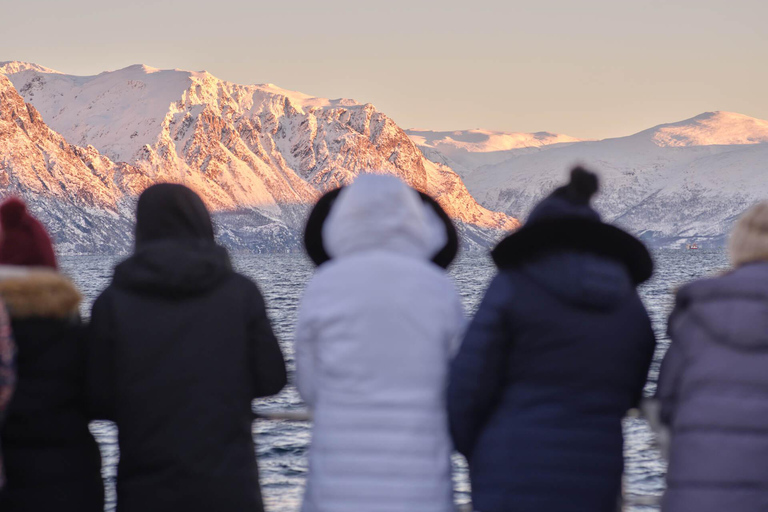 Tromsø: Arctische fjordencruise in poollandschappen