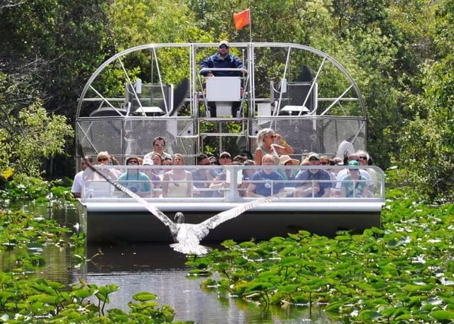 Miami Beach: Everglades Airboat Tours and Rides