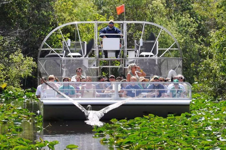 Miami Beach: Everglades Airboat Tours and Rides
