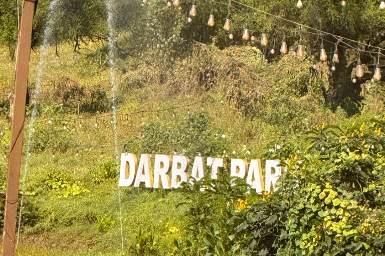 Salalah Local Life Tour: Camels, Coast & Natural Wonders