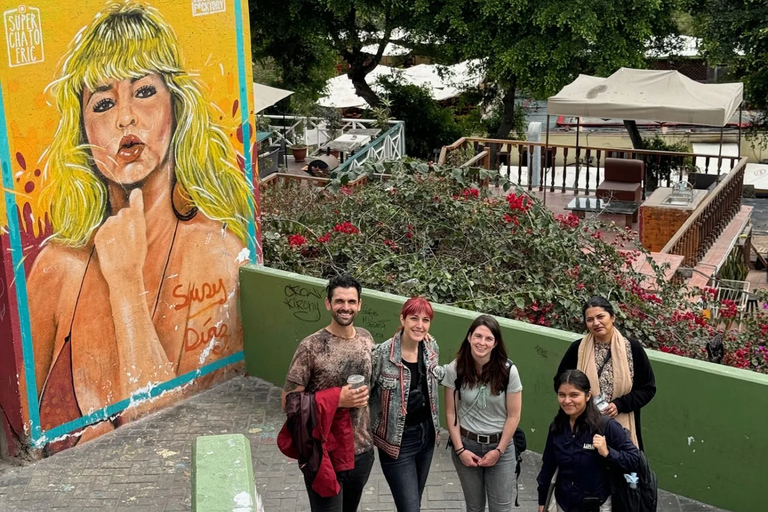 Tour del Barranco colorato e arte di stradaEsperienza standard