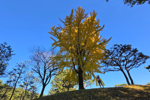 Da Seul: Tour di 2 giorni di Gongju e Buyeo con alloggio