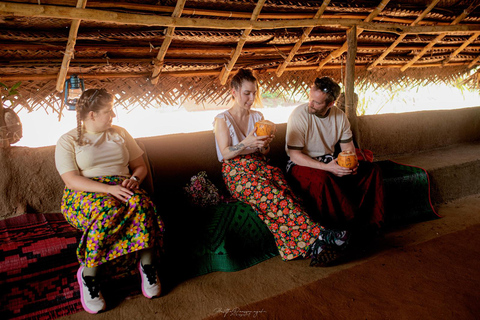 Sigiriya Rock Hike & Minneriya Elephant Safari – Day Tour Sigiriya Pickup & Drop off with Safari