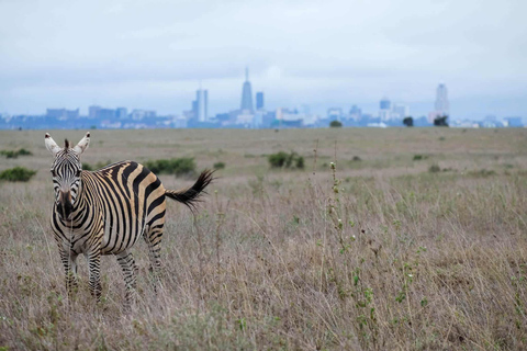 Nairobi National Park, Giraffe Centre &amp; Bomas of Kenya Tour