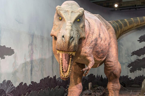 London: Natural History Museum Guided Tour