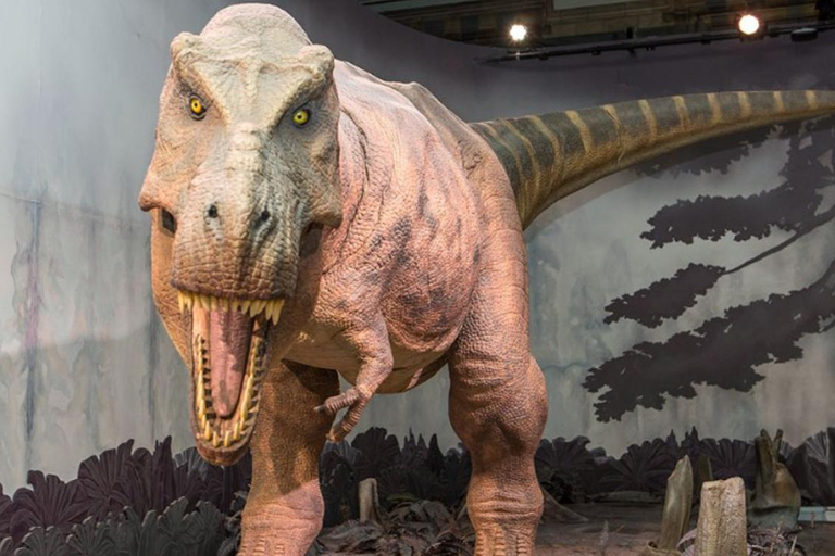 London: Natural History Museum Guided Tour