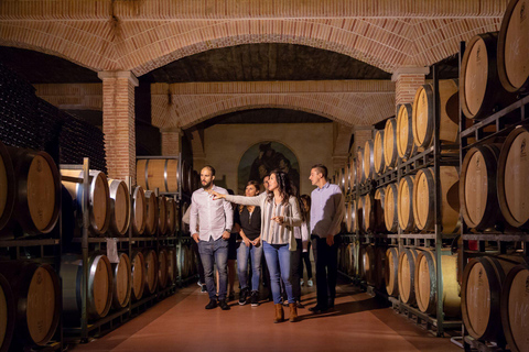 Alicante: Premium Winery: Guided tour with 6 tastings and a special gift