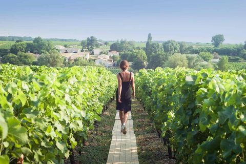 Paris: Discover the cellars in the countryside in Champagne