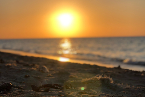 Montego Bay: Sunset Catamaran Cruise & Bioluminescent Lagoon