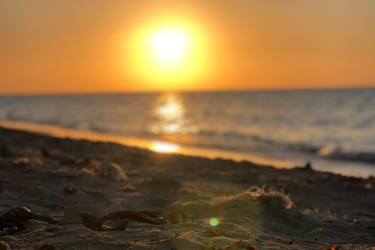 Montego Bay: Sunset Catamaran Cruise & Bioluminescent Lagoon