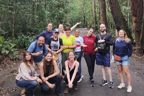 4x4 Tijuca National park - Rio de Janeiro