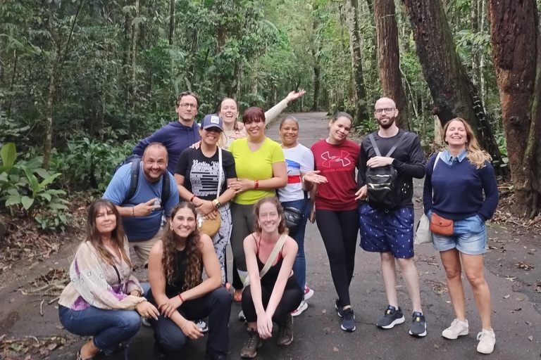 4x4 Tijuca National park - Rio de Janeiro