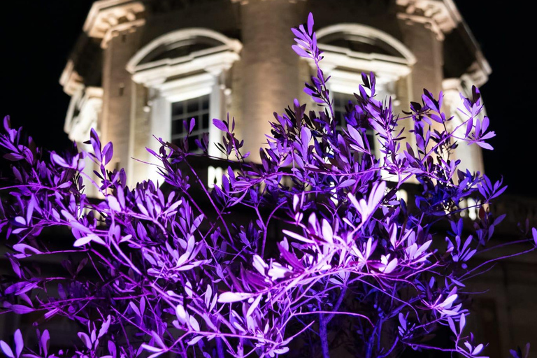 Rome: Santa Maria Maggiore Upper Areas Skip-the-Line Ticket