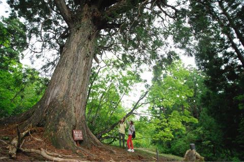 Kurobe Tateyama & Kamikochi autumn 2-day tour from Nagoya