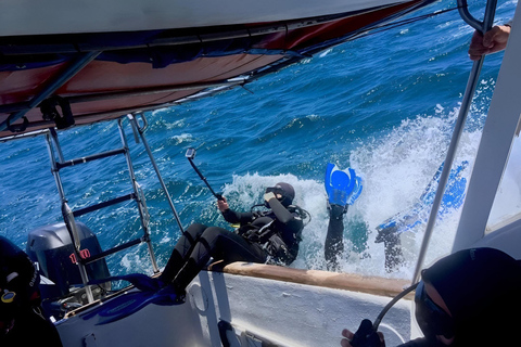 BUCEO EN MOSQUERA - TESOROS DEL BUCEO EN GALÁPAGOS