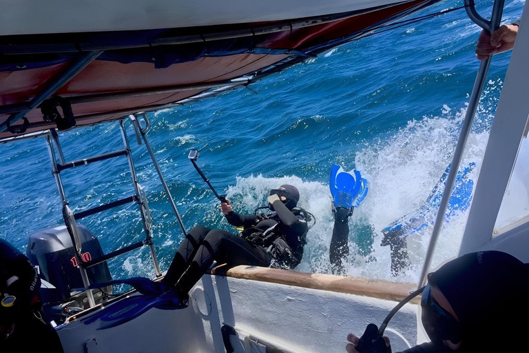 BUCEO EN MOSQUERA - TESOROS DEL BUCEO EN GALÁPAGOS