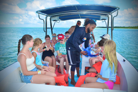 Punta Cana: Saona Island Tour with Lunch and Drinks