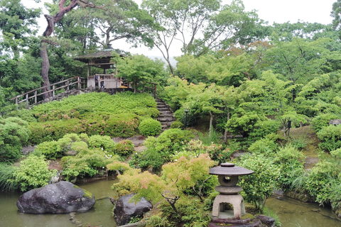 نارا: جولة في حدائق يوشيكين وإيسوئين مع حفل شاي