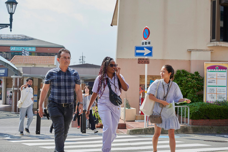 Osaka: Tour privato di spada - Allenati da un gran maestro