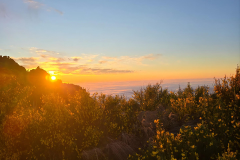 Madeira: Pico do Arieiro Sunrise Tour