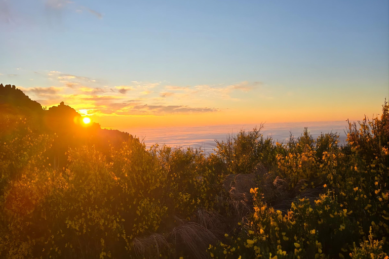 Madeira: Pico do Arieiro Sunrise Tour