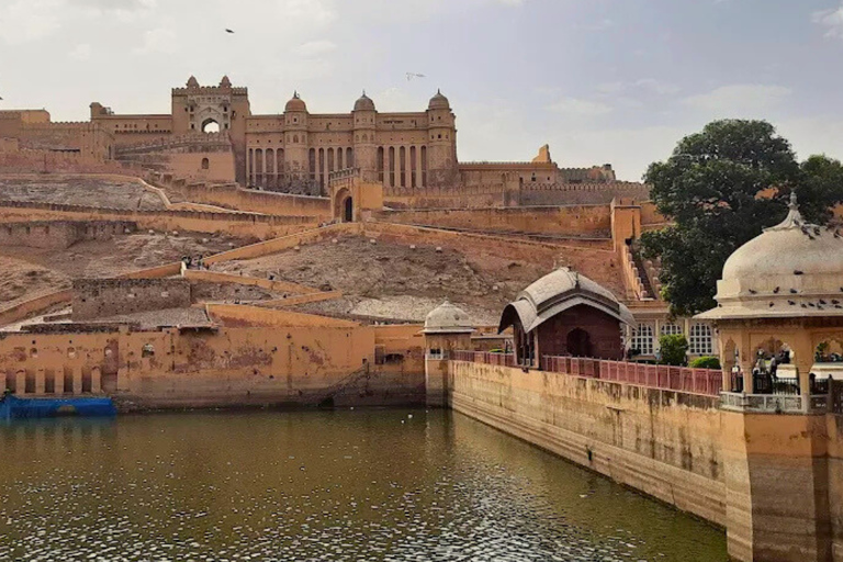 Depuis Delhi : voyage de plusieurs jours dans le Triangle d'Or avec safari tigresVisite du Triangle d'or de 7 jours sans hôtel