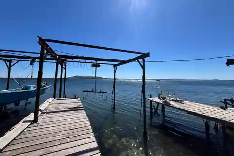 Around the Thau lagoon - tours and tastings